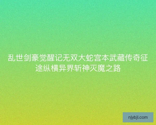 乱世剑豪觉醒记无双大蛇宫本武藏传奇征途纵横异界斩神灭魔之路