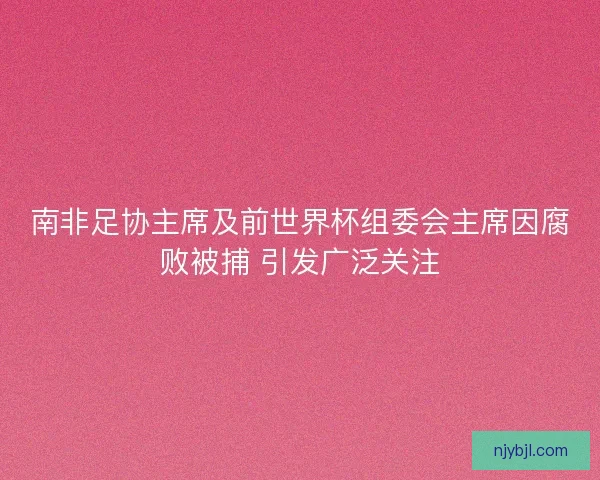 南非足协主席及前世界杯组委会主席因腐败被捕 引发广泛关注